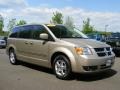 Light Sandstone Metallic - Grand Caravan SXT Photo No. 3