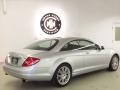 Iridium Silver Metallic - CL 550 Photo No. 7