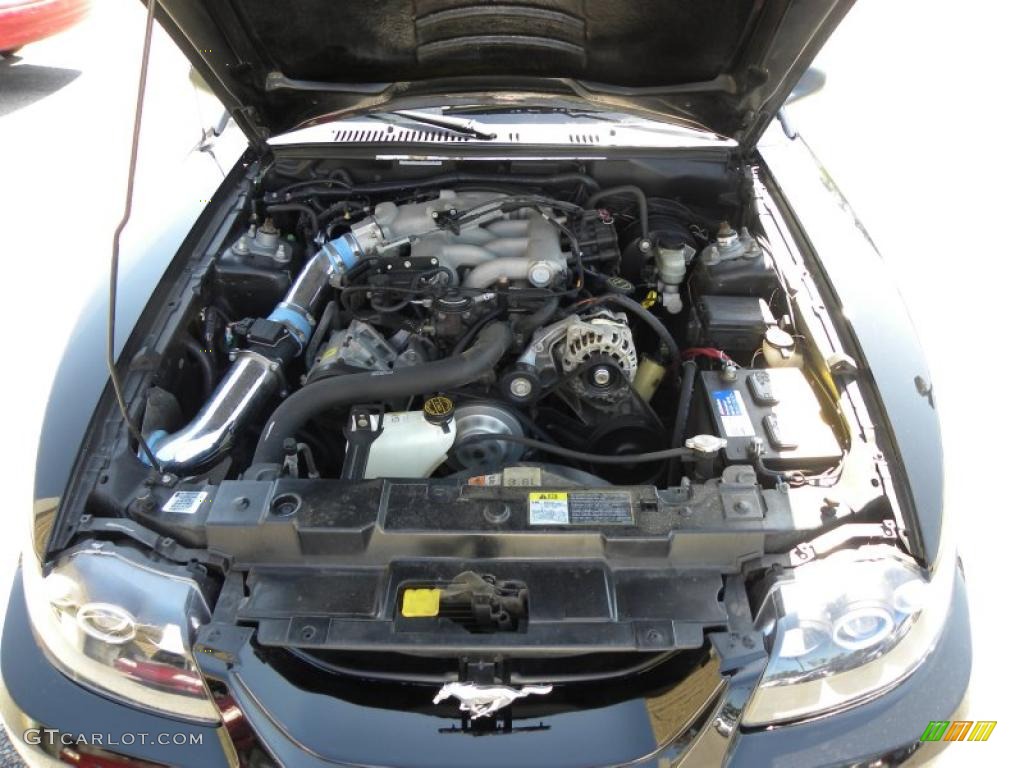 2003 Mustang V6 Coupe - Black / Medium Graphite photo #17
