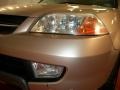 Mesa Beige Metallic - MDX  Photo No. 24