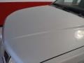 Silver Lightning - Pathfinder SE Photo No. 15