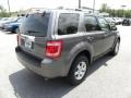 2009 Sterling Grey Metallic Ford Escape Limited V6  photo #13