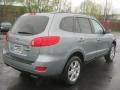 2008 Platinum Sage Hyundai Santa Fe SE  photo #2