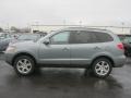 2008 Platinum Sage Hyundai Santa Fe SE  photo #13