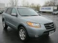 2008 Platinum Sage Hyundai Santa Fe SE  photo #16