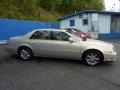 2007 Gold Mist Cadillac DTS Sedan  photo #6