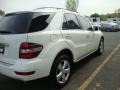 Arctic White - ML 350 4Matic Photo No. 10