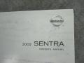 Molten Silver - Sentra GXE Photo No. 19