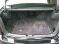 Nighthawk Black Pearl - TL 3.2 Photo No. 15