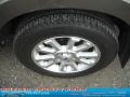 Mineral Grey Metallic - Explorer Sport Trac Limited 4x4 Photo No. 13
