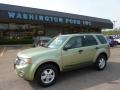 Kiwi Green Metallic 2008 Ford Escape XLT