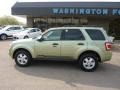 Kiwi Green Metallic - Escape XLT Photo No. 2