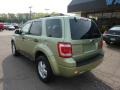 Kiwi Green Metallic - Escape XLT Photo No. 3