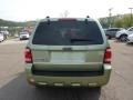 Kiwi Green Metallic - Escape XLT Photo No. 4