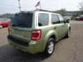 Kiwi Green Metallic - Escape XLT Photo No. 5