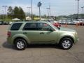 Kiwi Green Metallic - Escape XLT Photo No. 6