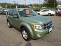 Kiwi Green Metallic - Escape XLT Photo No. 7