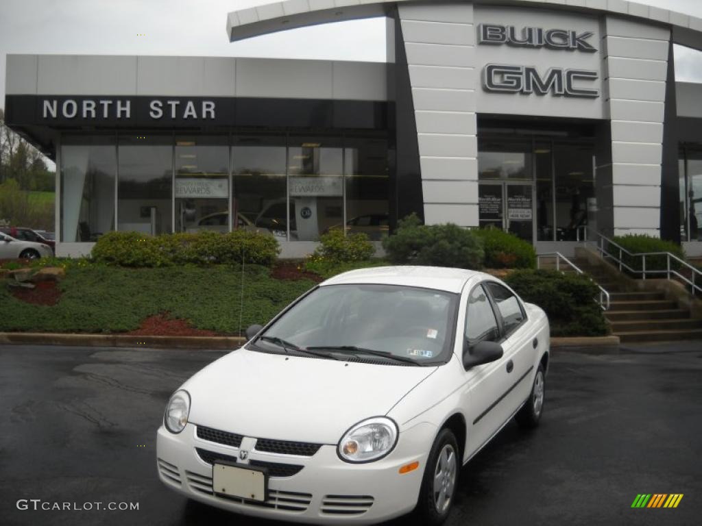 Stone White Dodge Neon