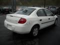 2004 Stone White Dodge Neon SE  photo #5