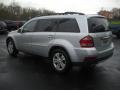 Iridium Silver Metallic - GL 450 Photo No. 5