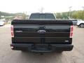 2010 Tuxedo Black Ford F150 FX4 SuperCrew 4x4  photo #4