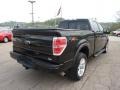 2010 Tuxedo Black Ford F150 FX4 SuperCrew 4x4  photo #5