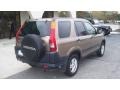 2003 Mojave Mist Metallic Honda CR-V EX 4WD  photo #8