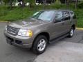 2004 Mineral Grey Metallic Ford Explorer XLT 4x4  photo #3