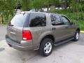 2004 Mineral Grey Metallic Ford Explorer XLT 4x4  photo #6