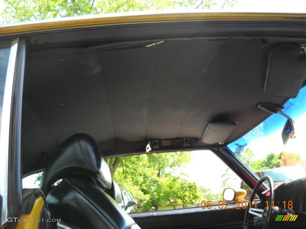 Black Interior 1971 Buick Skylark GS 455 Photo #48792556