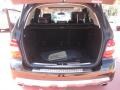 Black - ML 350 4Matic Photo No. 14