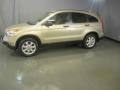 2009 Borrego Beige Metallic Honda CR-V EX 4WD  photo #3