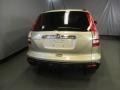 Borrego Beige Metallic - CR-V EX 4WD Photo No. 10