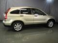 Borrego Beige Metallic - CR-V EX 4WD Photo No. 11