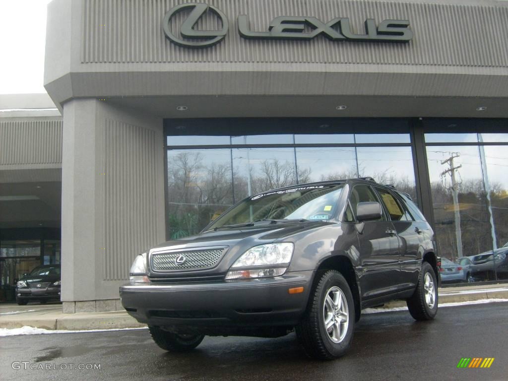 2002 RX 300 AWD - Graphite Gray Pearl / Ivory photo #1