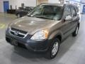 2004 Mojave Mist Metallic Honda CR-V EX 4WD  photo #2