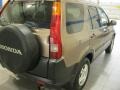 2004 Mojave Mist Metallic Honda CR-V EX 4WD  photo #10