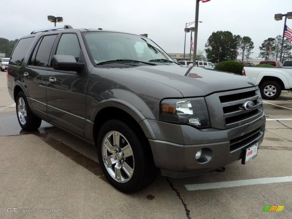 2010 Expedition Limited 4x4 - Sterling Grey Metallic / Stone photo #2