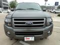 2010 Sterling Grey Metallic Ford Expedition Limited 4x4  photo #5