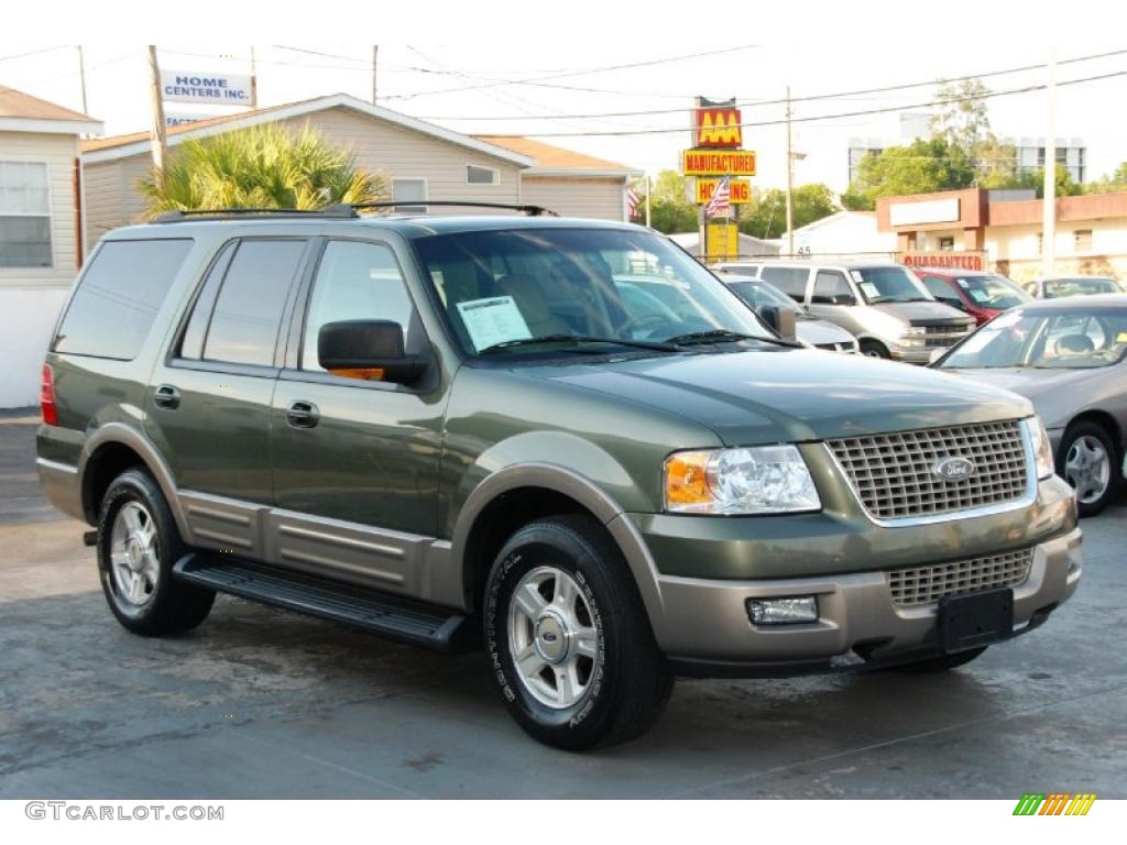 2003 Expedition Eddie Bauer - Estate Green Metallic / Medium Parchment photo #1