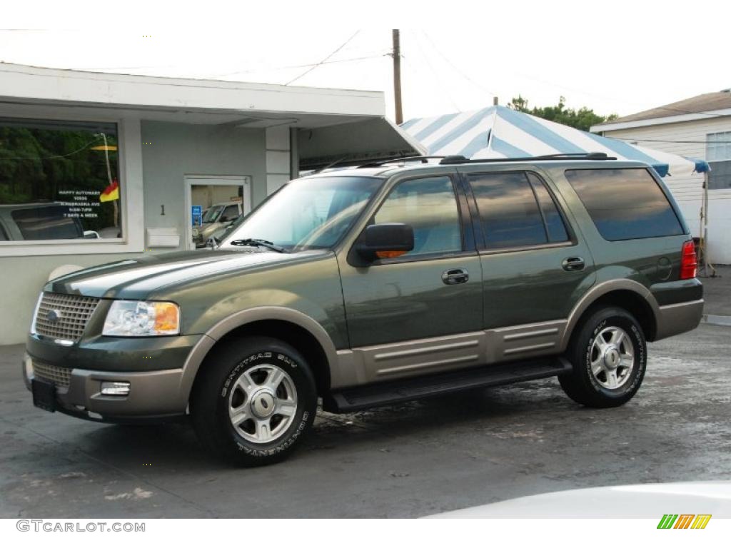 2003 Expedition Eddie Bauer - Estate Green Metallic / Medium Parchment photo #4