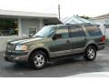 2003 Estate Green Metallic Ford Expedition Eddie Bauer  photo #4