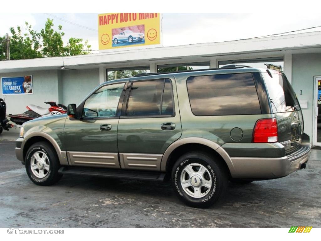 2003 Expedition Eddie Bauer - Estate Green Metallic / Medium Parchment photo #6