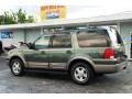 2003 Estate Green Metallic Ford Expedition Eddie Bauer  photo #6