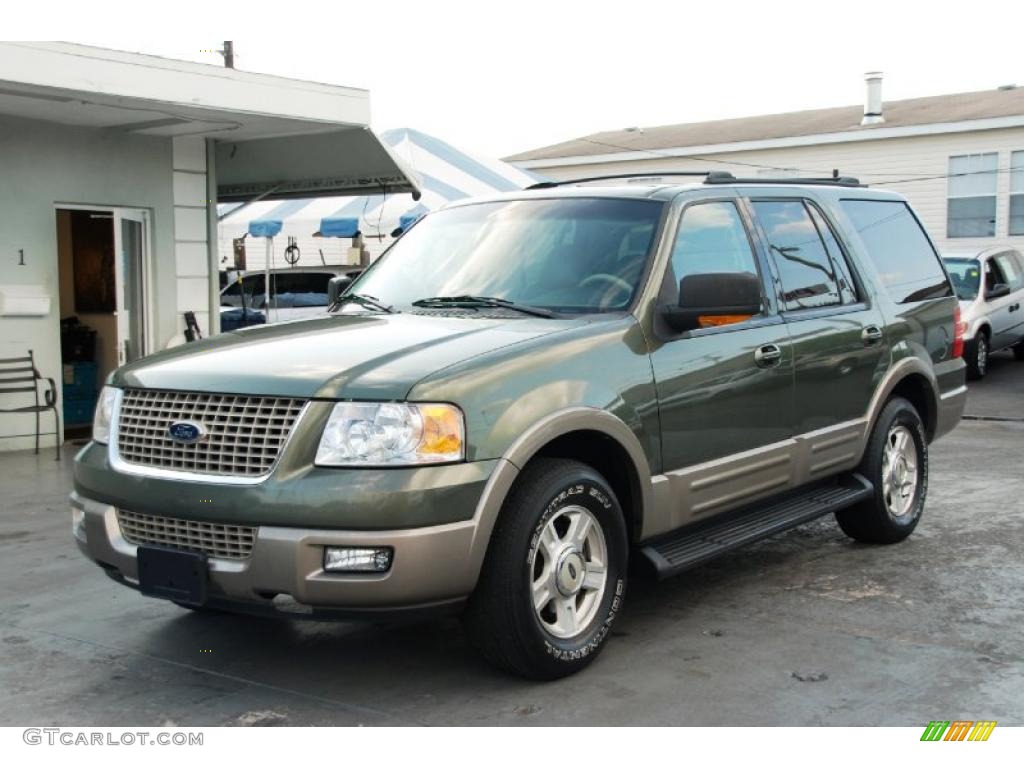 2003 Expedition Eddie Bauer - Estate Green Metallic / Medium Parchment photo #7