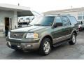 2003 Estate Green Metallic Ford Expedition Eddie Bauer  photo #7