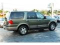 2003 Estate Green Metallic Ford Expedition Eddie Bauer  photo #8