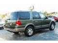 2003 Estate Green Metallic Ford Expedition Eddie Bauer  photo #9