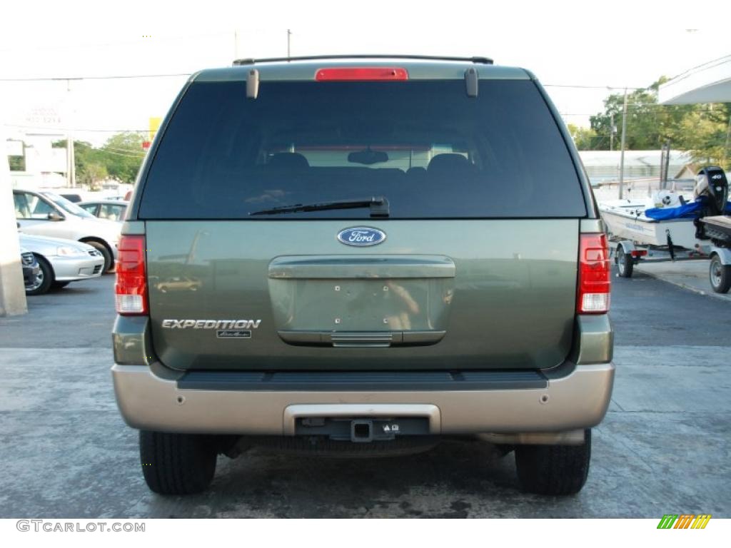 2003 Expedition Eddie Bauer - Estate Green Metallic / Medium Parchment photo #10
