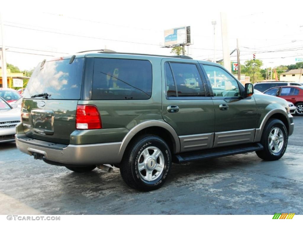 2003 Expedition Eddie Bauer - Estate Green Metallic / Medium Parchment photo #11